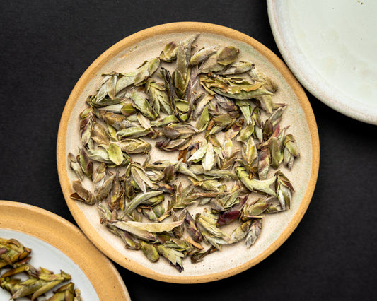 Ya Bao Gushu Wild Buds